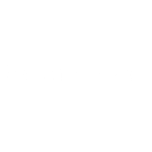 Insane & Co. Logo 300px